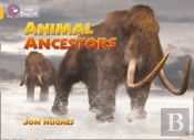 Collins Big Cat - Animal Ancestors