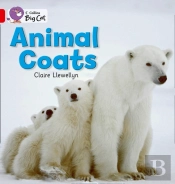 Collins Big Cat - Animal Coats Workbook