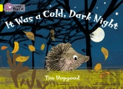 Collins Big Cat - It Was A Cold Dark Night Workbook