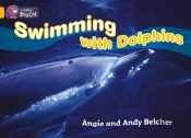 Collins Big Cat - Swimming With Dolphins