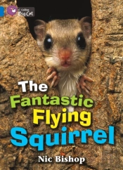 Collins Big Cat - The Fantastic Flying Squirrel