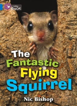 Bertrand.pt - Collins Big Cat - The Fantastic Flying Squirrel