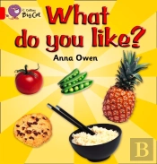 Collins Big Cat - What Do You Like? Workbook