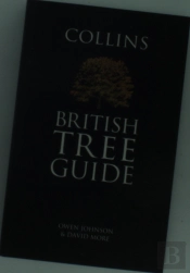 Collins British Tree Guide