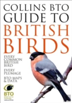 Bertrand.pt - Collins Bto Guide To British Birds