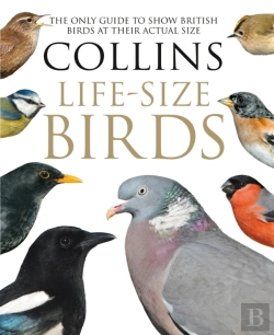 Bertrand.pt - Collins Life-Size Birds
