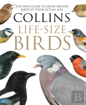 Collins Life-Size Birds