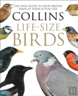 Bertrand.pt - Collins Life-Size Birds
