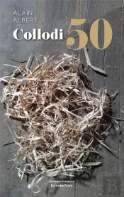 Collodi 50