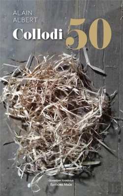 Bertrand.pt - Collodi 50