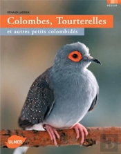 Colombes, Tourterelles ; Et Autres Petits Colombidés