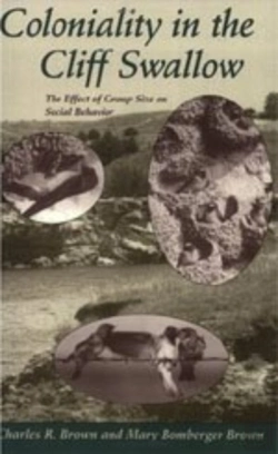 Bertrand.pt - Coloniality In The Cliff Swallow