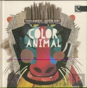Color Animal