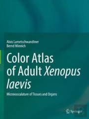 Color Atlas Of Adult Xenopus Laevis