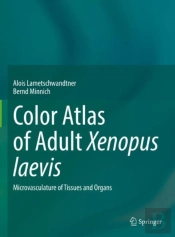 Color Atlas Of Adult Xenopus Laevis