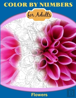 Bertrand.pt - Color By Numbers For Adults