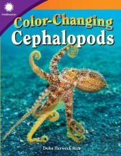 Color-Changing Cephalopods