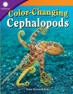 Bertrand.pt - Color-Changing Cephalopods