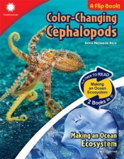Color-Changing Cephalopods & Making An Ocean Ecosystem