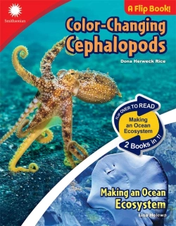Bertrand.pt - Color-Changing Cephalopods & Making An Ocean Ecosystem