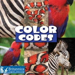 Bertrand.pt - Color Codes