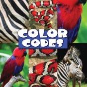 Color Codes