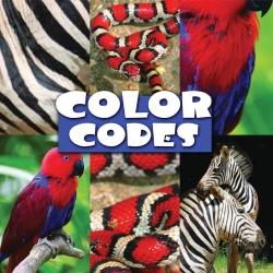 Bertrand.pt - Color Codes