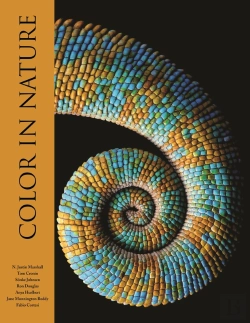 Bertrand.pt - Color In Nature