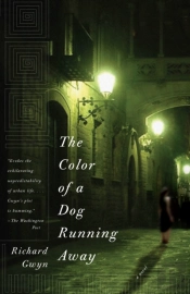 Color Of A Dog Running Away