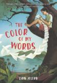 Color Of My Words