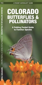Colorado Butterflies & Pollinators