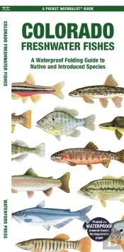 Colorado Freshwater Fishes
