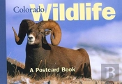 Colorado Wildlife