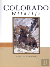 Colorado Wildlife