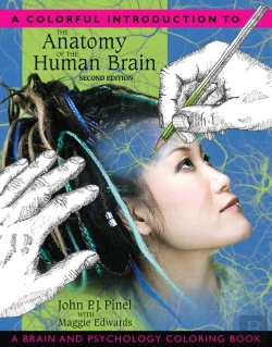 Bertrand.pt - Colorful Introduction To The Anatomy Of The Human Brain, A