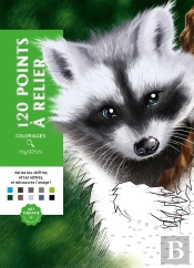 Coloriages Mysteres 120 Points A Relier - Reliez Les Chiffres Et Les Lettres, Et Decouvrez L Image !