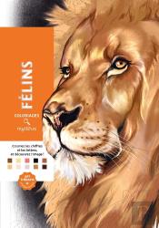 Coloriages Mysteres Felins