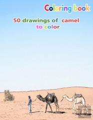 Coloring Book 50 Drawings Of Camel To Color
