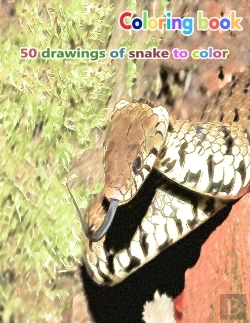 Bertrand.pt - Coloring Book 50 Drawings Of Snake To Color