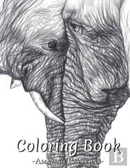 Coloring Book