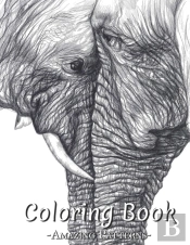 Coloring Book