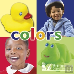 Bertrand.pt - Colors