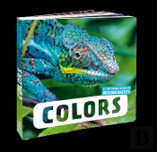 Colors