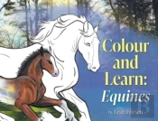Colour And Learn