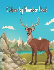 Colour By Number Book