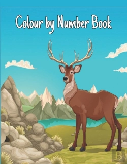 Bertrand.pt - Colour By Number Book