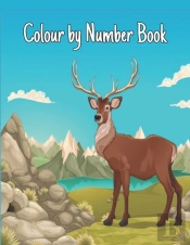 Colour By Number Book