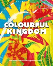 Colourful Kingdom