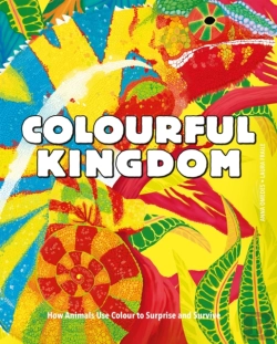 Bertrand.pt - Colourful Kingdom