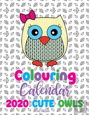 Colouring Calendar 2020 Cute Owls  Uk Ed